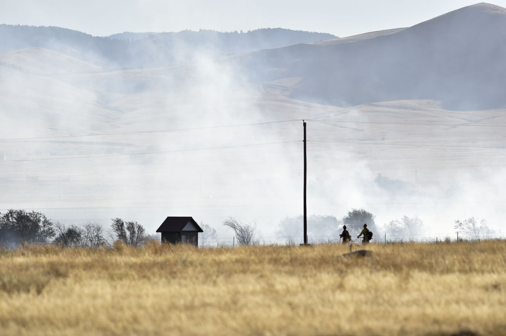 Birdseye Grass Fire